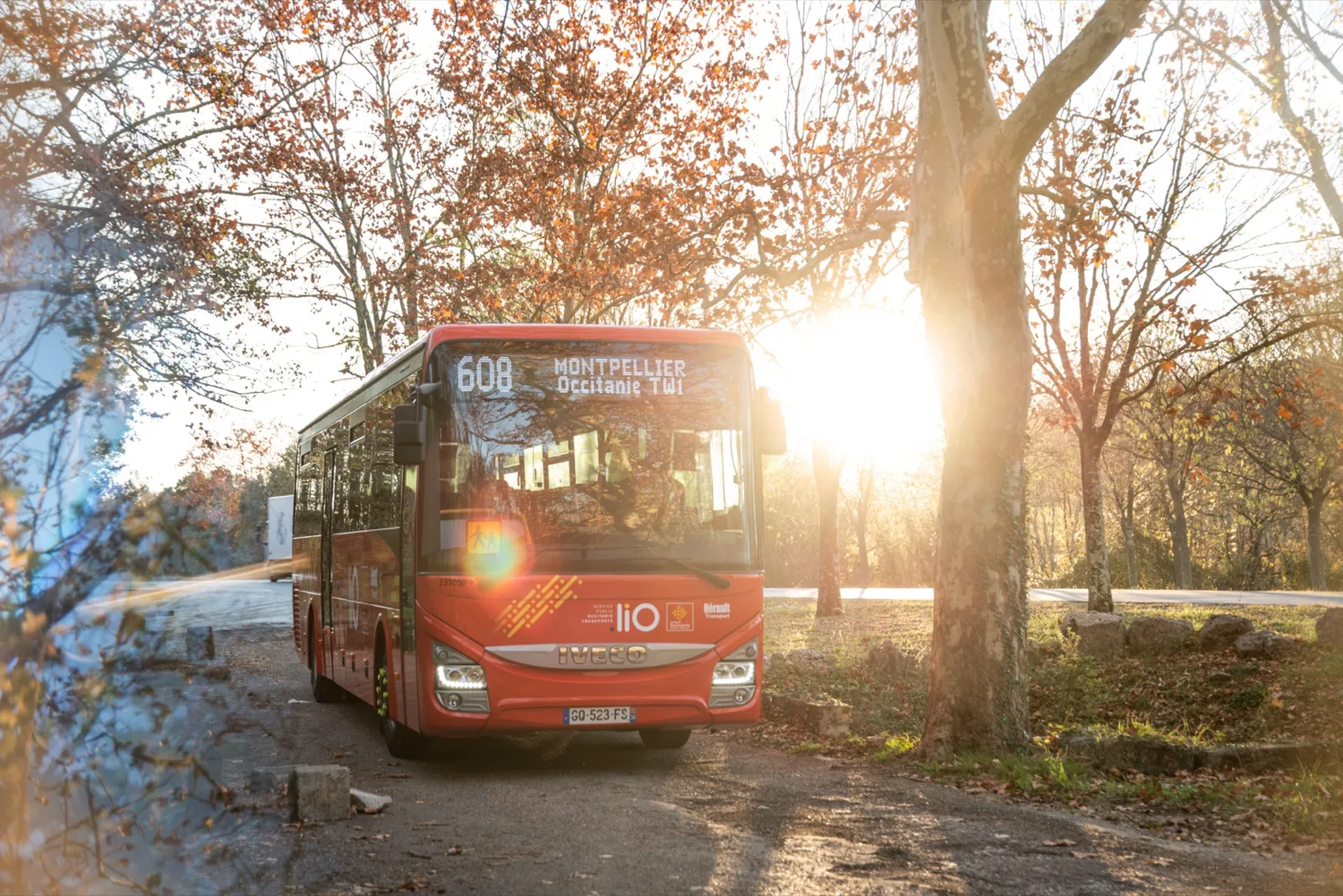 Un bus Keolis rouge marqué “600 Avignon” roule sur une route bordée d’arbres aux feuilles d’automne, sous une lumière de fin de journée.