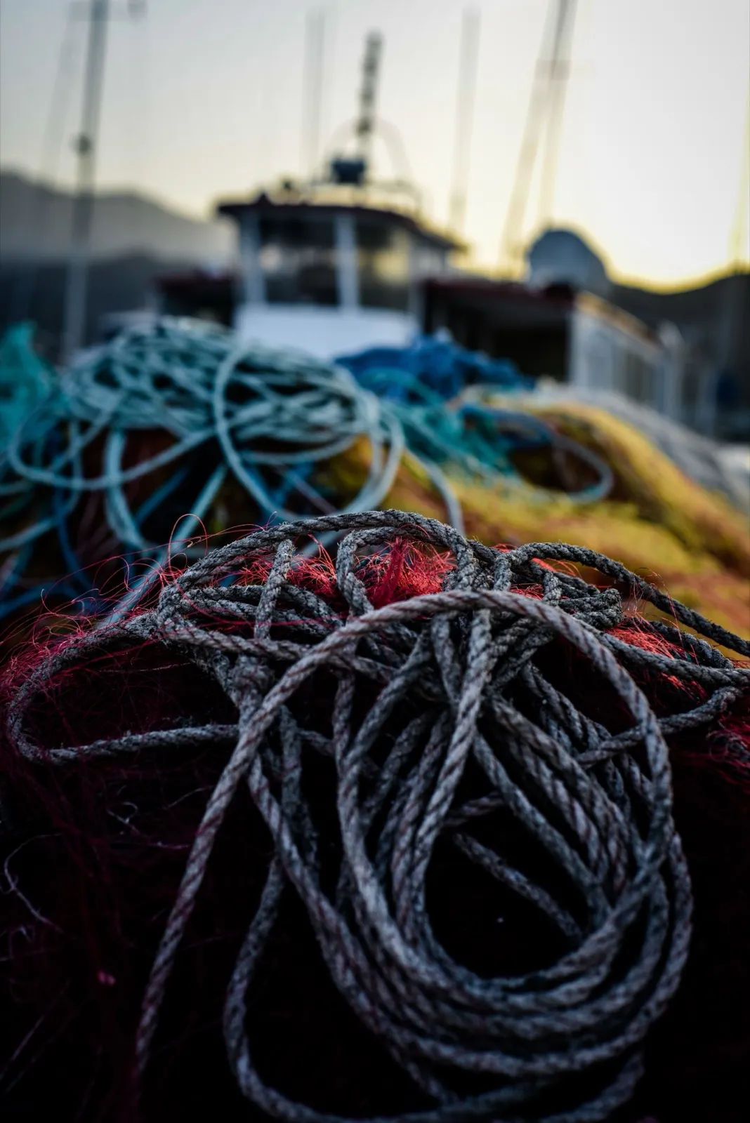 Cordages multicolores enroulés sur le pont d’un bateau.