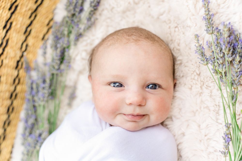 baby girl smiles in newborn portrait in a Moses basket with lavender around her