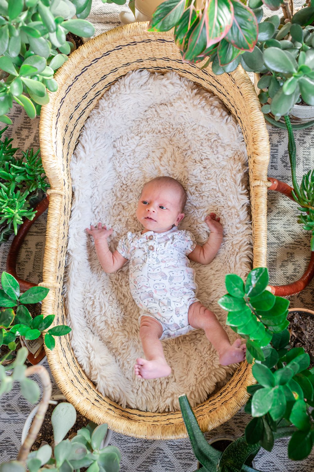 baby girl in Moses basket with plants all around her