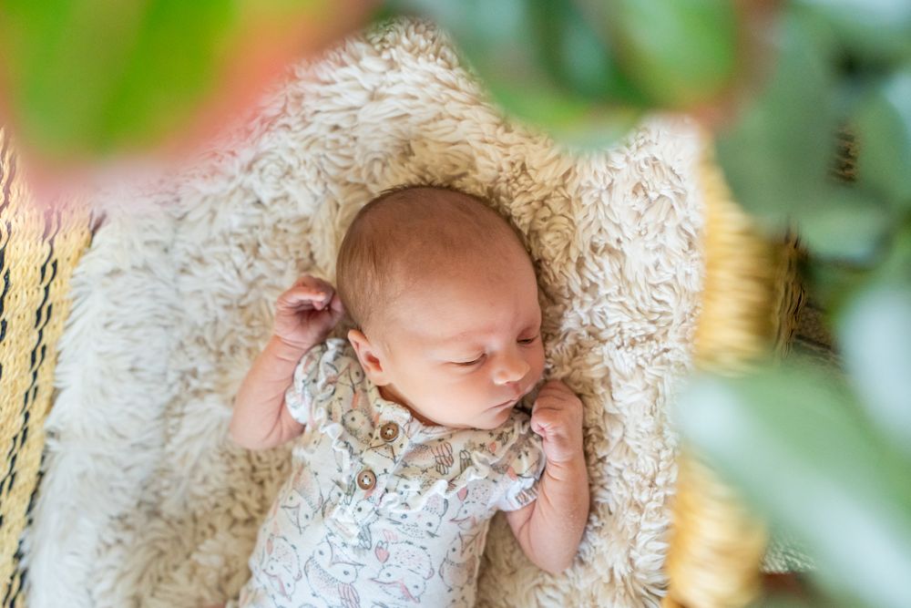 portrait of newborn girl in a basket