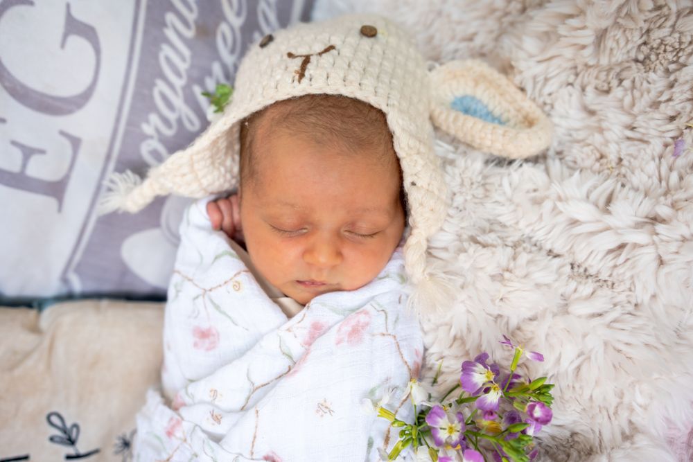 newborn girl with a knit lamb hat and fresh flowers