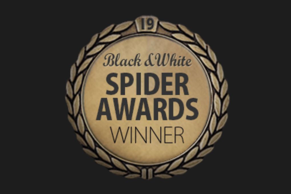 Logo Spider Black and White Awards
