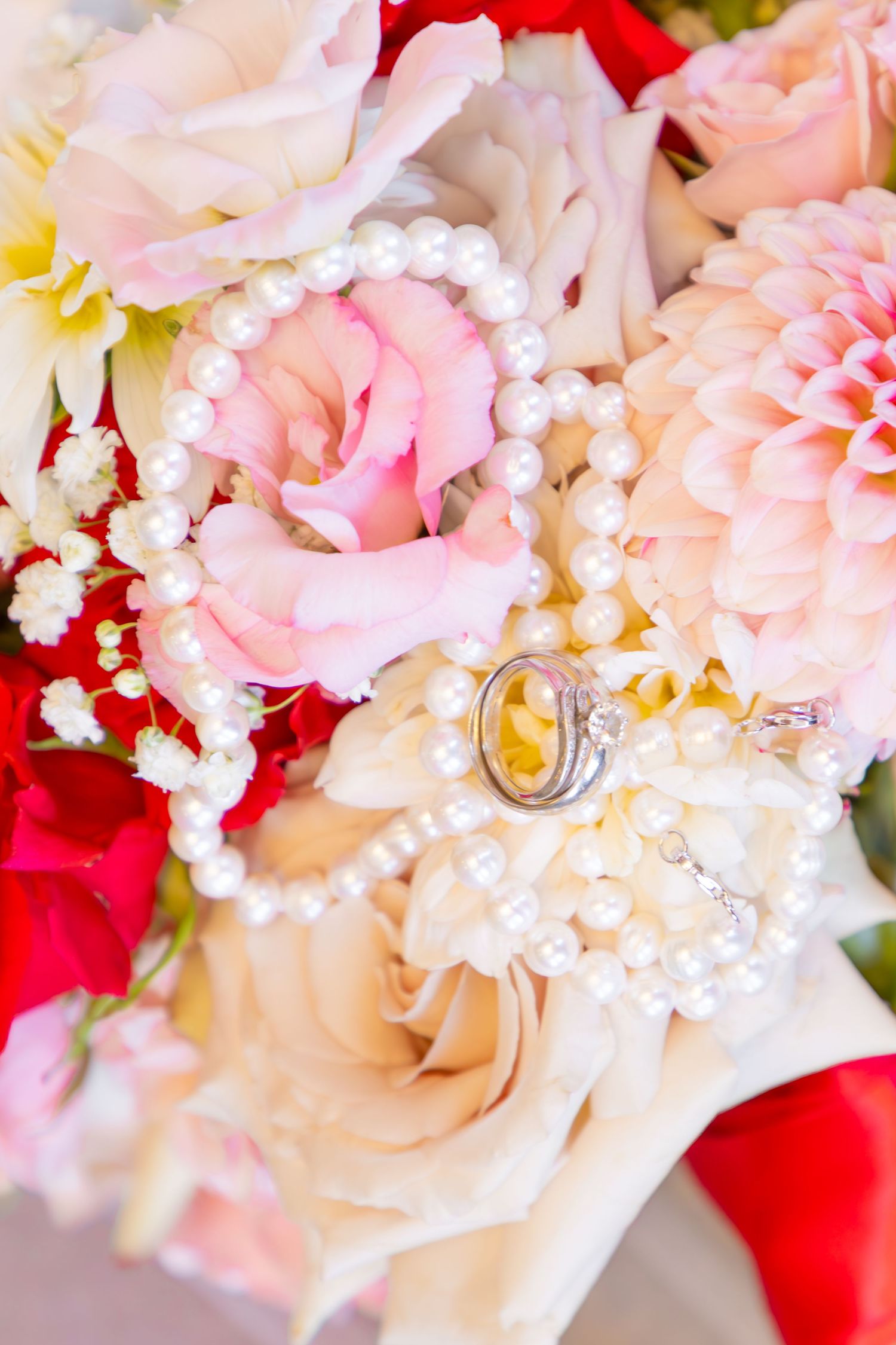Engagement and Proposal Photography