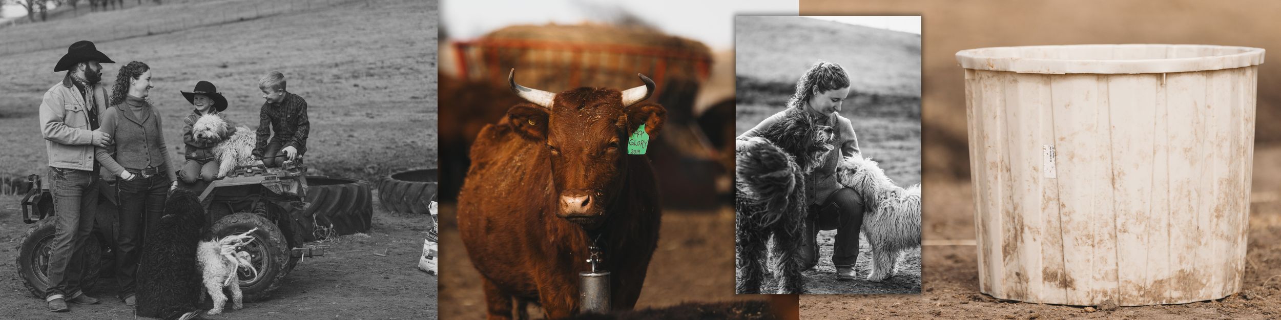 People enjoying boots and western gear in these Wyoming lifestyle photos with a rustic wooden aesthetic.