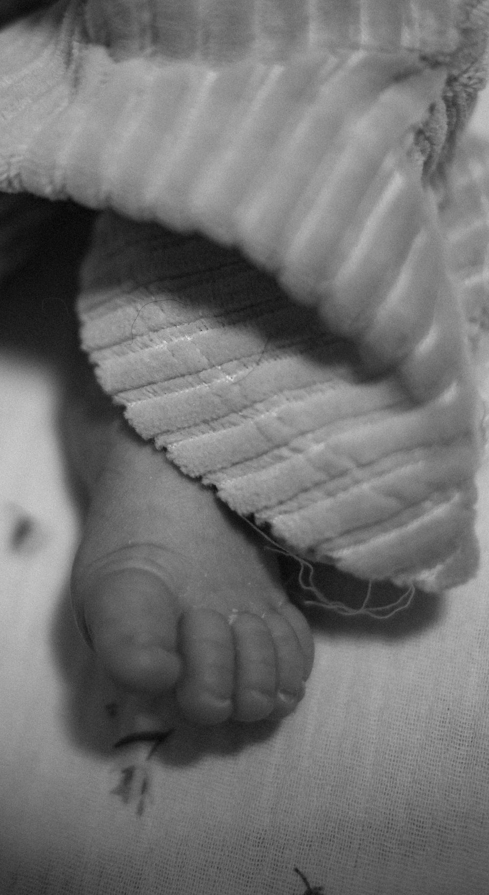 Close-up black and white photo of a newborn baby's tiny foot peeking out from a blanket.