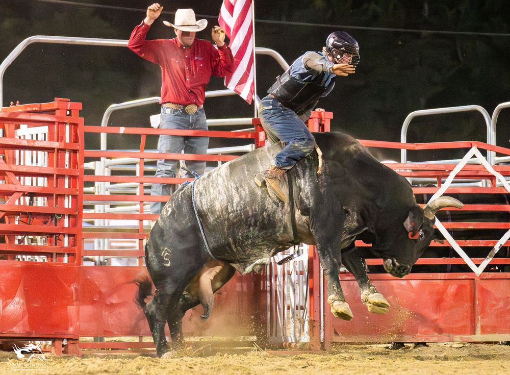 A bull rider competes at a rodeo event while holding on as the bull bucks in front of red arena gates and barriers.