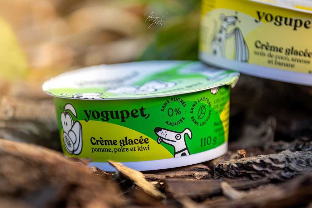 yaourt / aliment / nourriture chien / chien / glace chien / été / kiwi / pomme / banane / photo / Alsace / Cyno-Pro