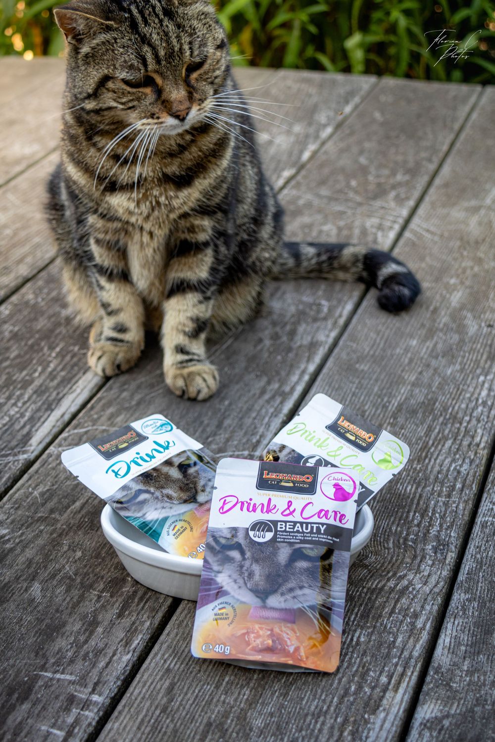 chat / nourriture chat / alimentation chat / Cyno-Pro / Alsace