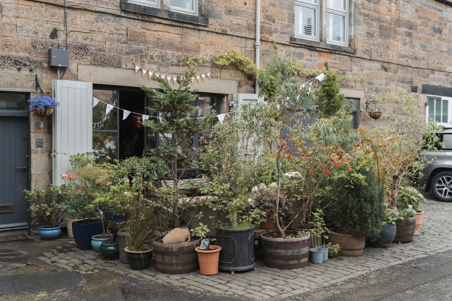A collection of potted plants and greenery adorning the entrance of a rustic stone building on a residential street.