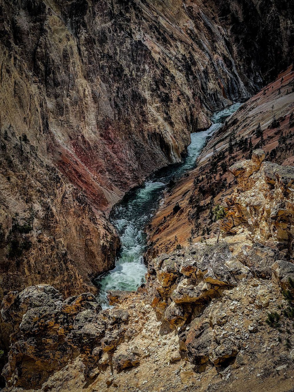 Yellowstone river