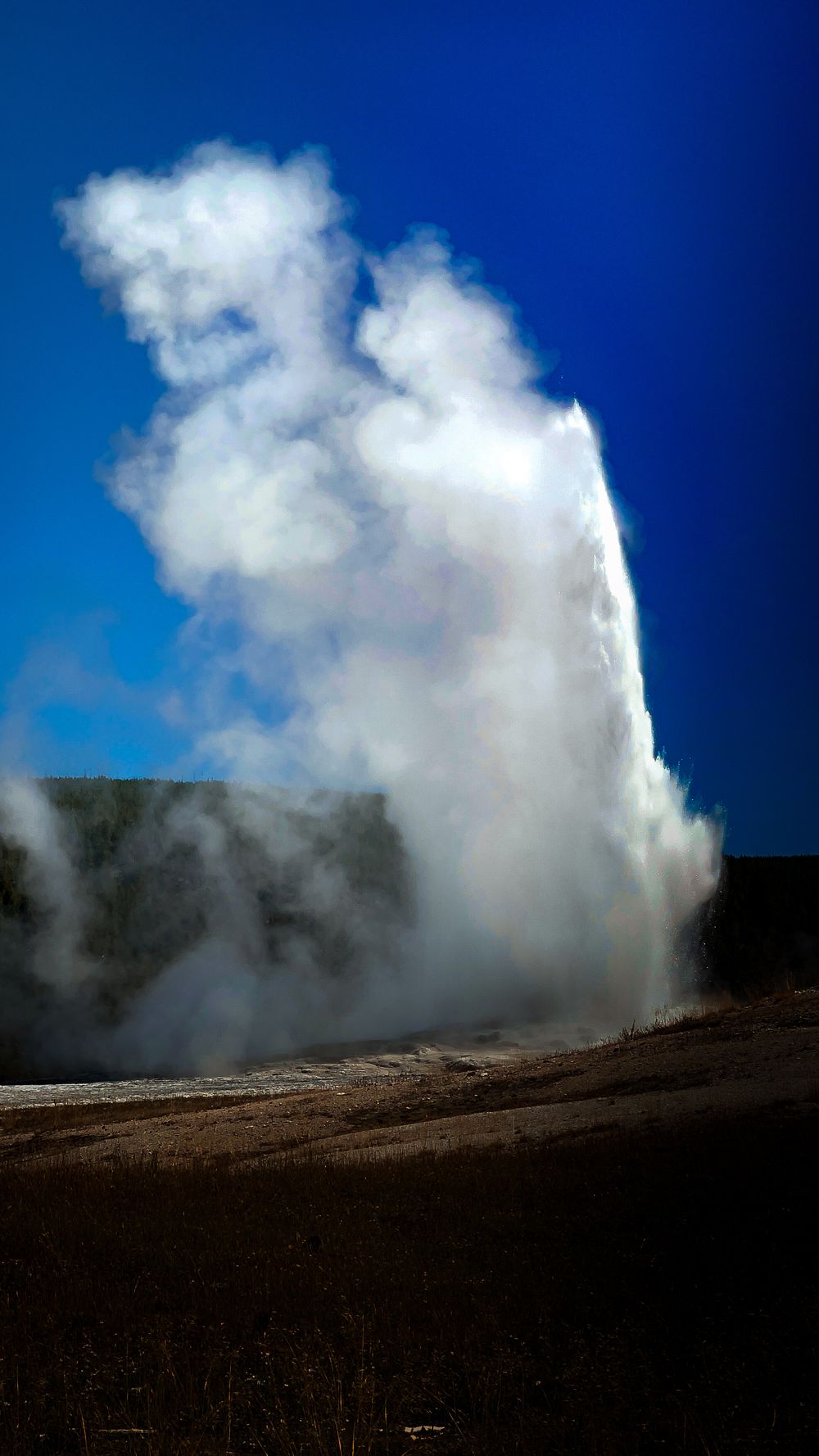 old faithful