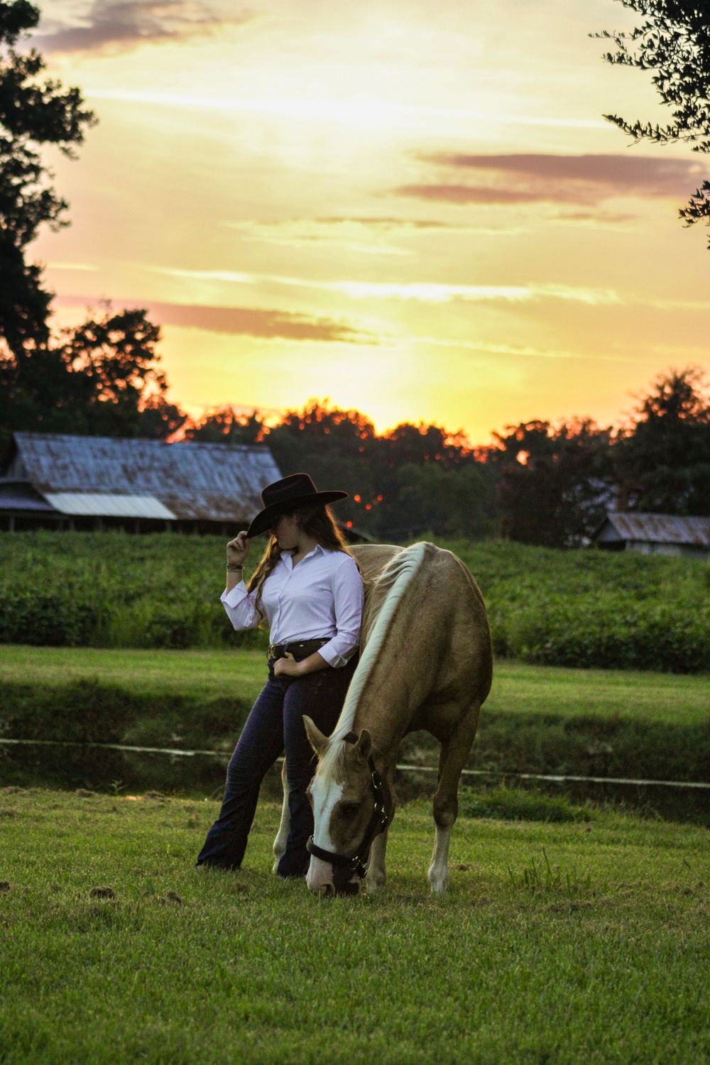 A horse grazes in a pasture at sunset while someone in western attire stands nearby.