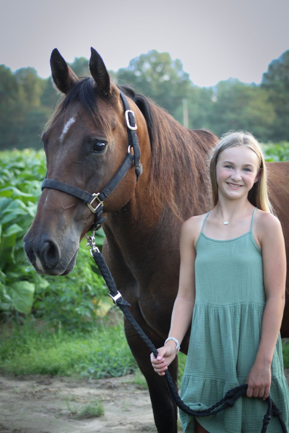 A beautiful bay horse with bridle stands next to someone in a green dress outdoors.