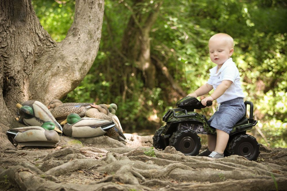 A child sits on large exposed tree roots in a lush green forest setting.