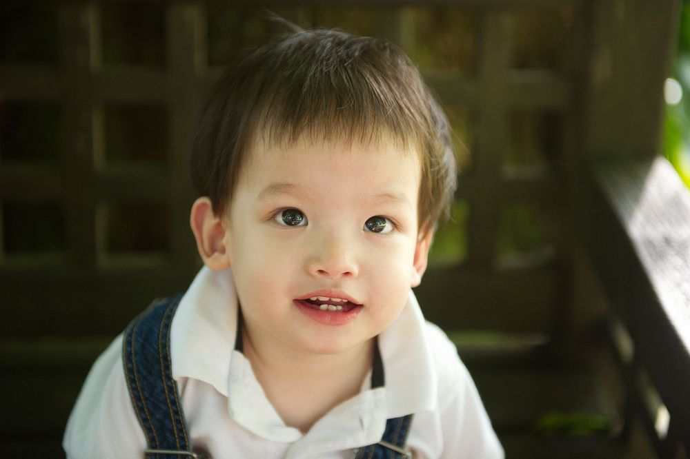 Toddler boy in denim overalls looking at the camera under a wooden play structure under a wooden play structure