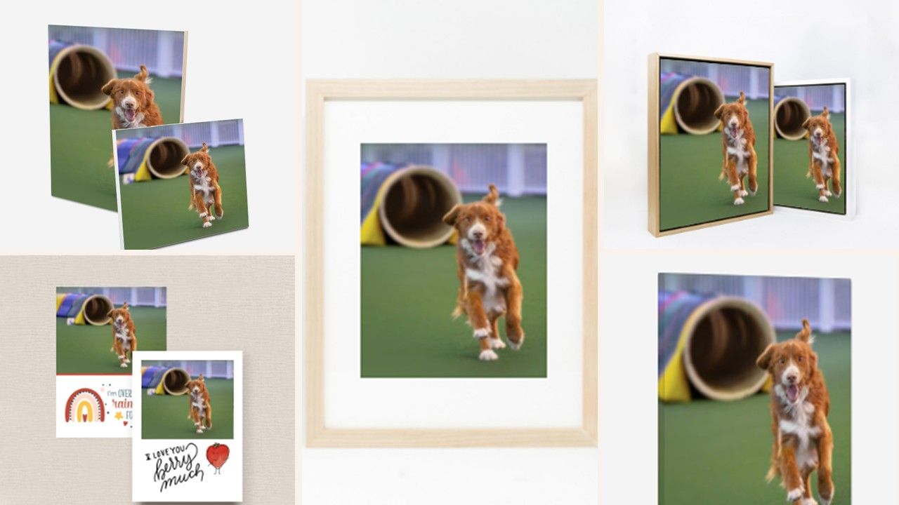 Dog portrait editing