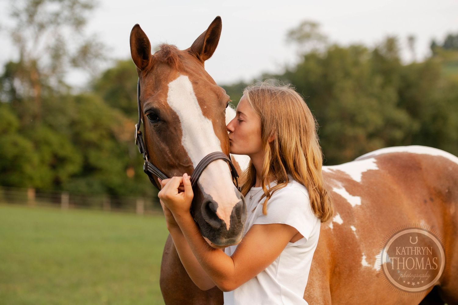 A sweet moment between a paint horse and someone in a sunny field.