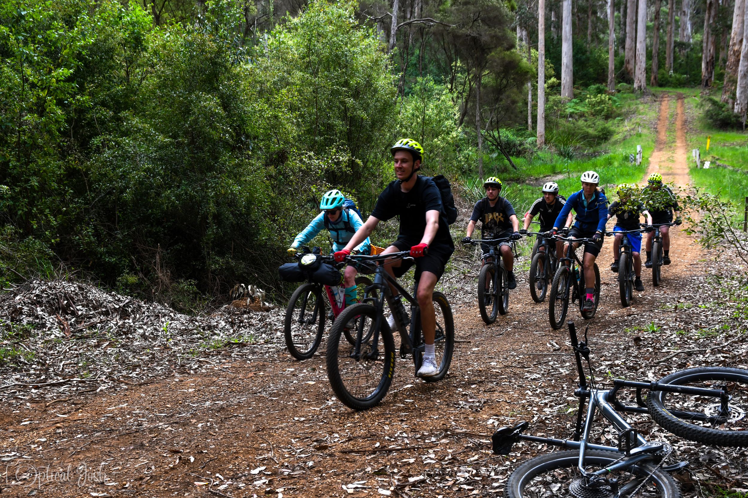 Group of mountain bikers riding in single file along a dirt trail through lush forest terrain.