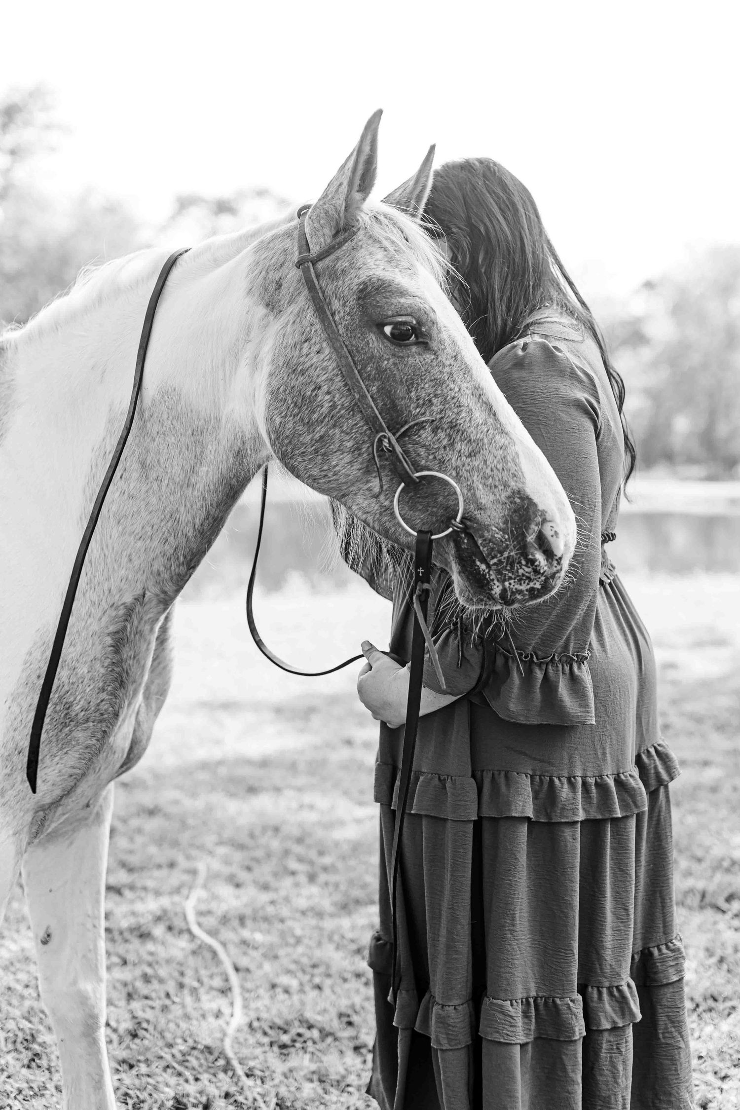 A beautiful white horse with its halter being embraced tenderly in a black and white photograph.