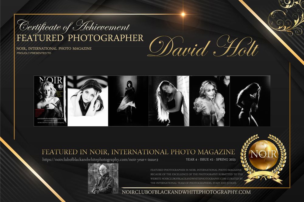 David G Holt Photography - Professional photography award certificate featuring black and gold design with sample portraits.