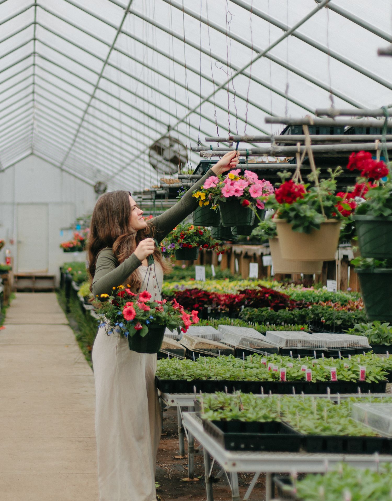 Person shopping for plants and flowers in large commercial greenhouse with tiered display benches.