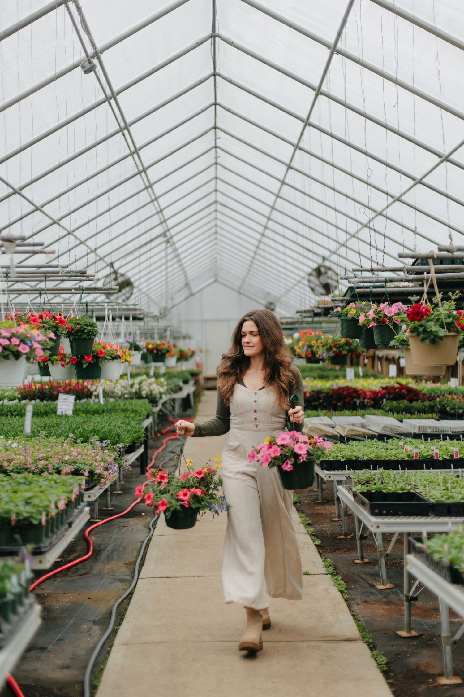 A person walks through a greenhouse filled with colorful potted flowers and plants on display benches.
