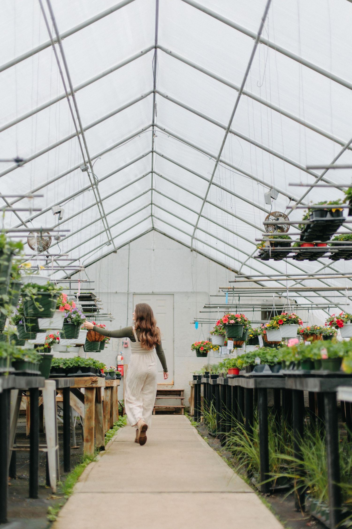A long greenhouse walkway lined with potted plants and hanging baskets creates a serene gardening atmosphere.