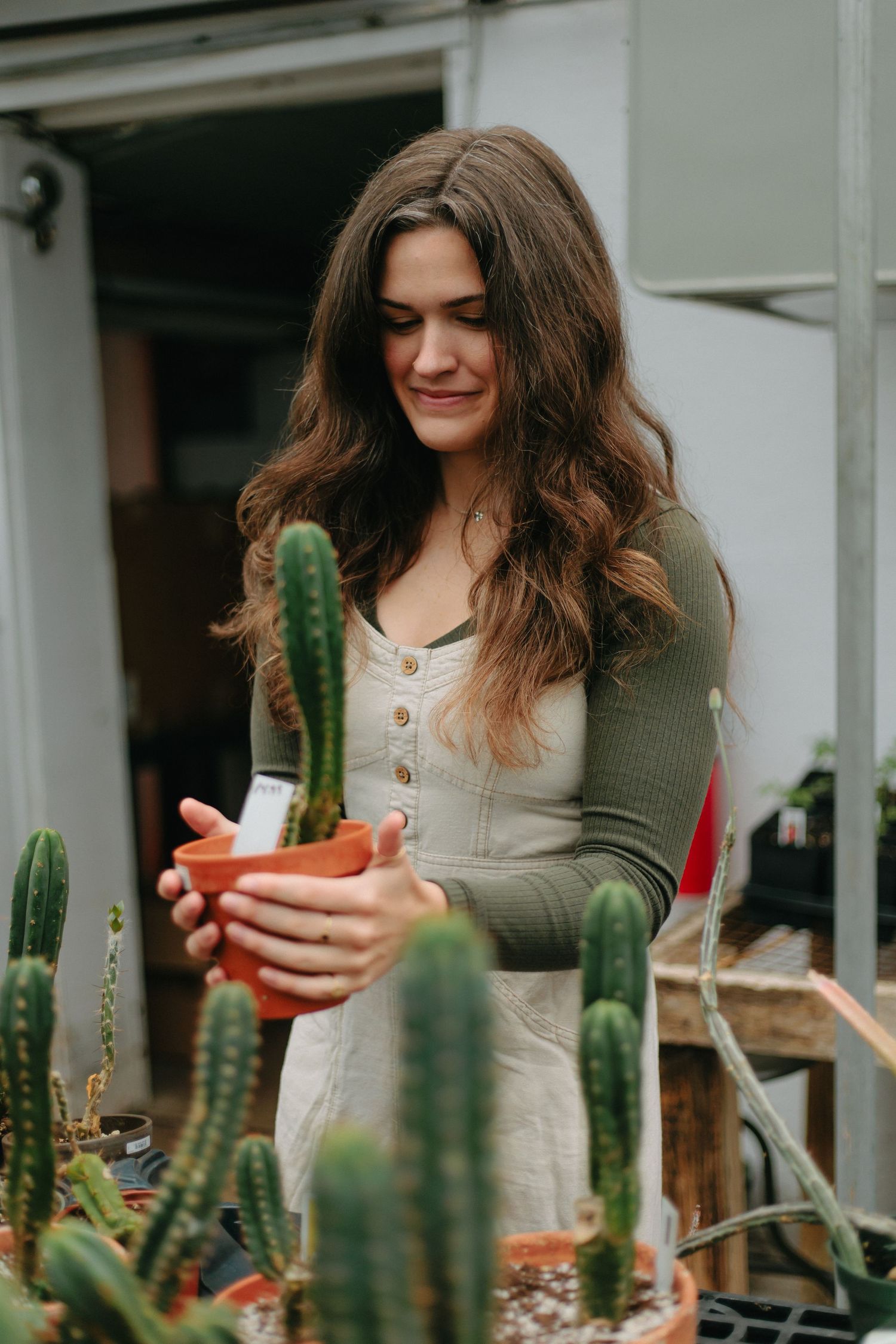 Someone in an olive cardigan tends to a collection of cacti and succulents in a bright outdoor space.