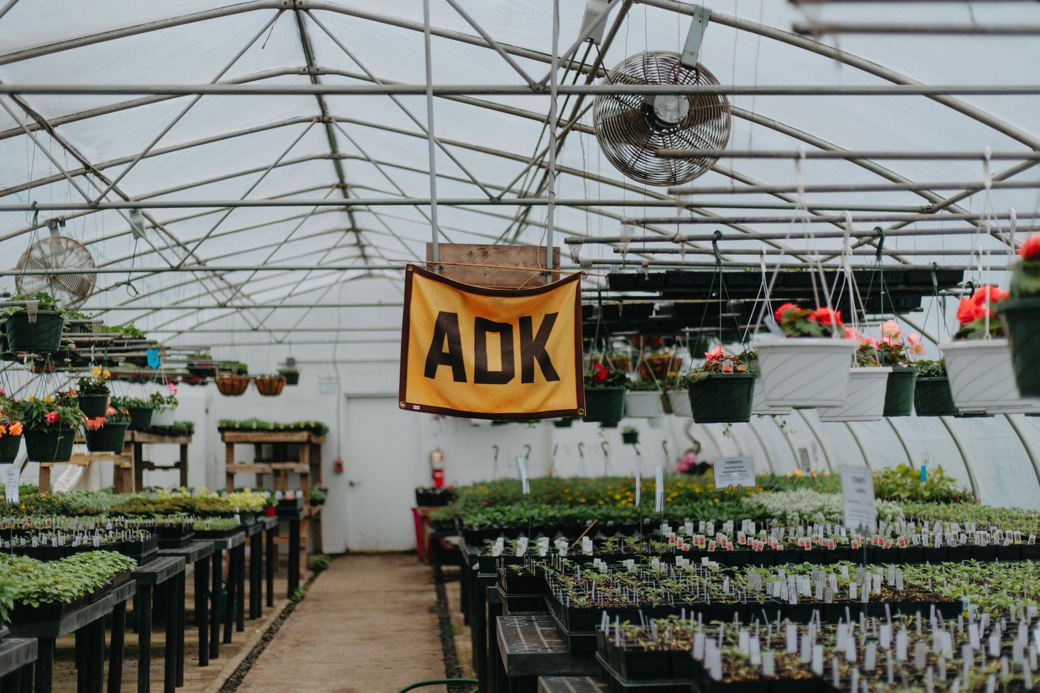 Interior view of greenhouse with ADK sign hanging from ceiling and rows of seedling trays below.