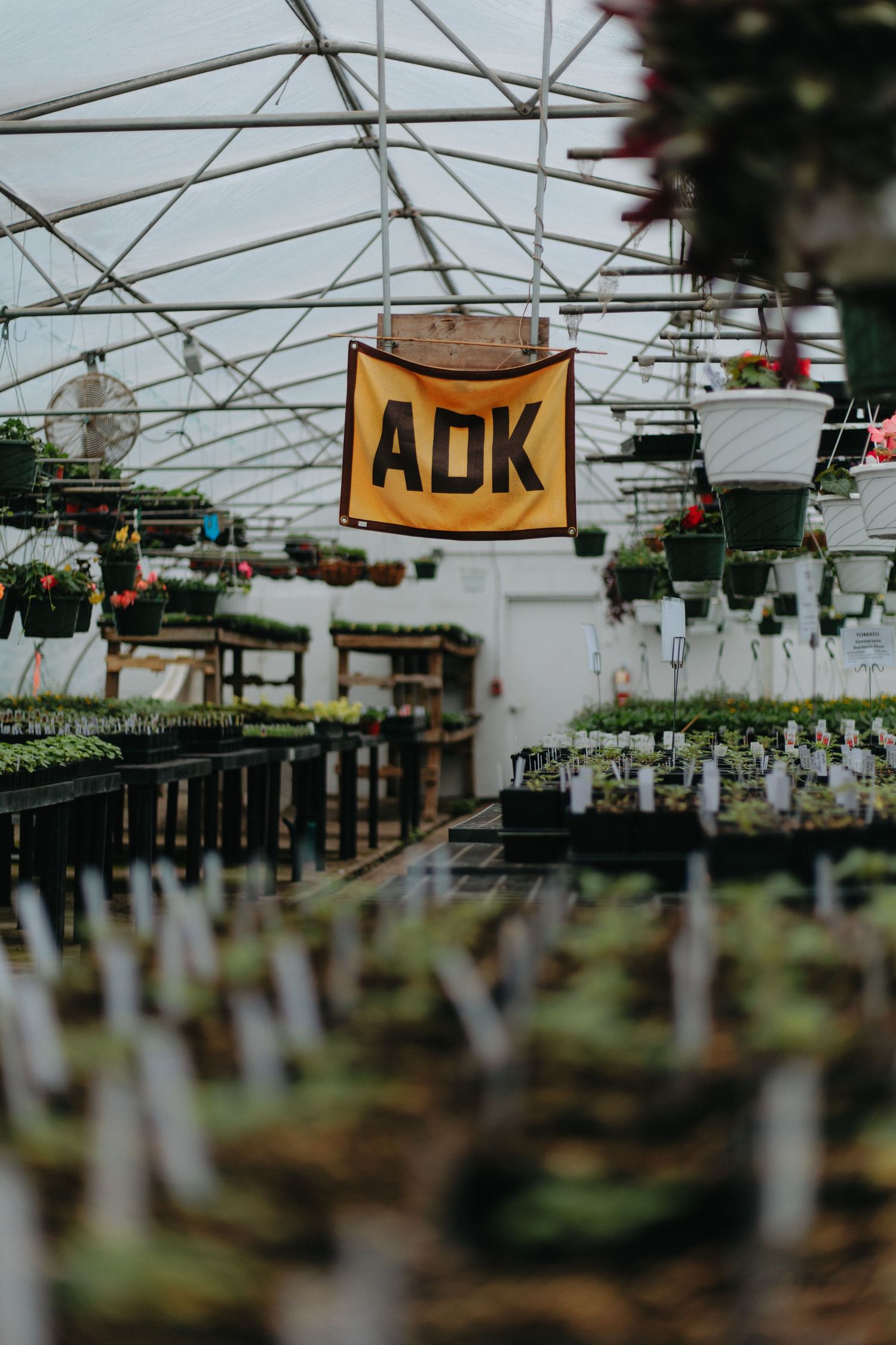Yellow ADK sign hanging in greenhouse with rows of potted plants and seedlings beneath glass roof structure.