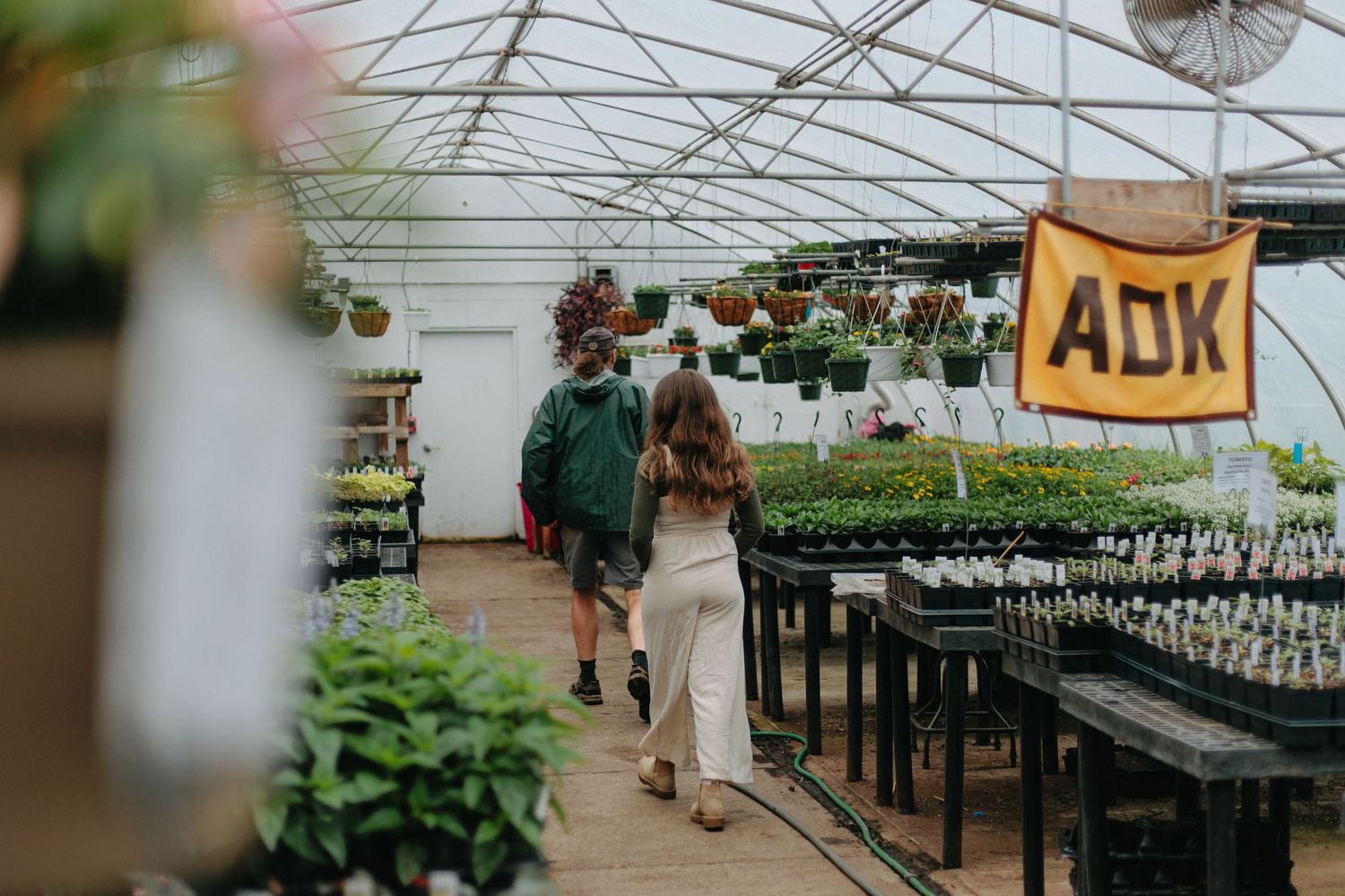 Visitors browse plants and hanging baskets inside a bright greenhouse with garden supplies on display.