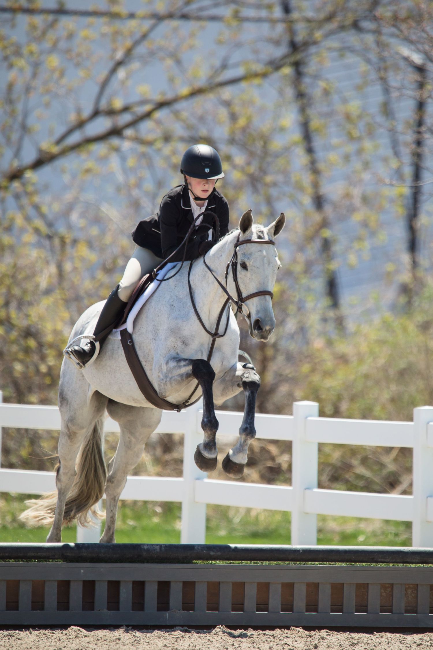 An equestrian rider in black attire guides a white horse over a jump rail beside a white fence in an autumn setting.
