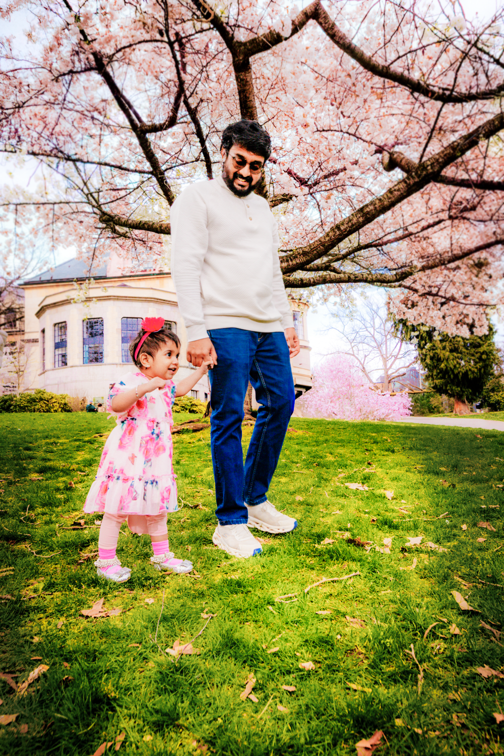 A parent and child enjoying spring cherry blossoms while standing on green grass near a building.