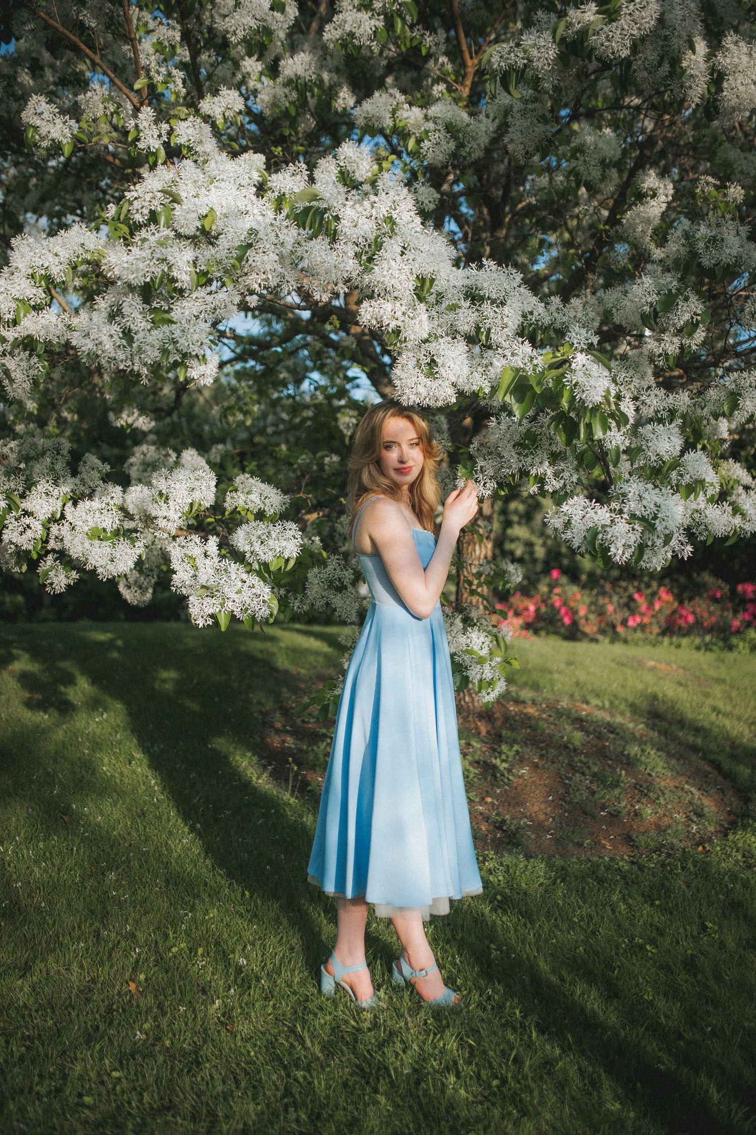 A figure in a light blue midi dress stands beneath blooming white spring blossoms in a garden setting.