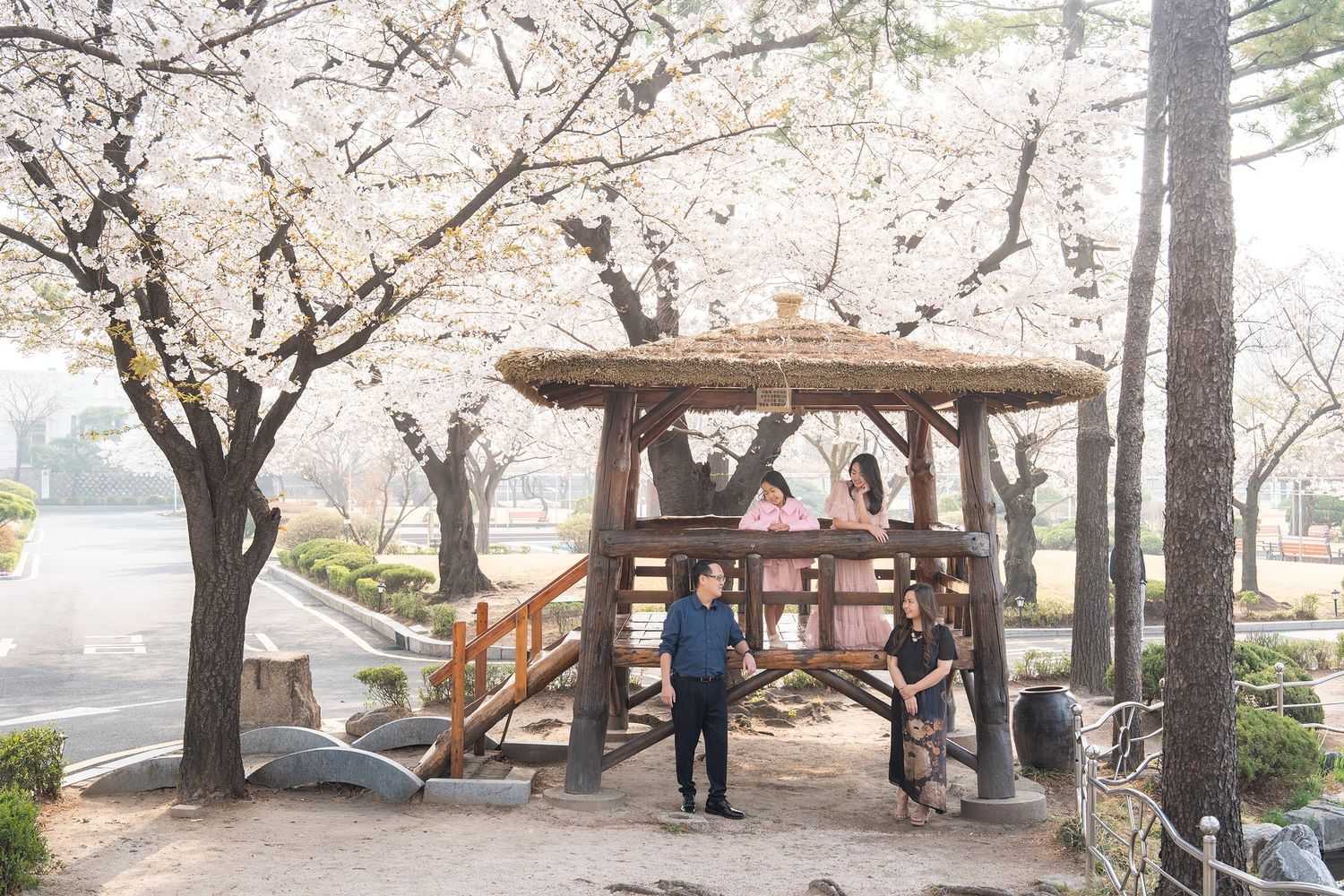 Family enjoying cherry blossom season under a wooden gazebo surrounded by blooming sakura trees in a serene park.