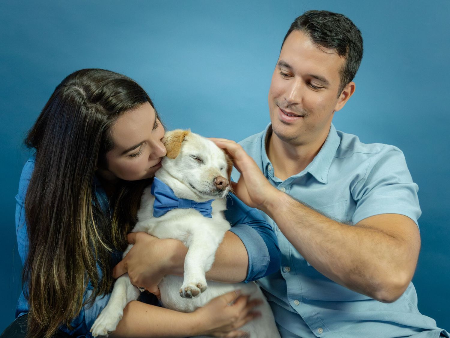 A couple in blue shirts lovingly cuddles a small white puppy wearing a blue bow tie against a blue background.
