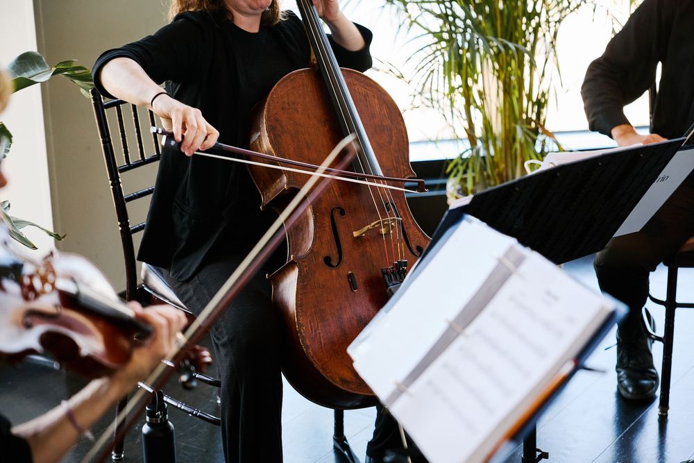 Musicians playing cellos and strings in formal black attire with sheet music stands during a classical ensemble performance.