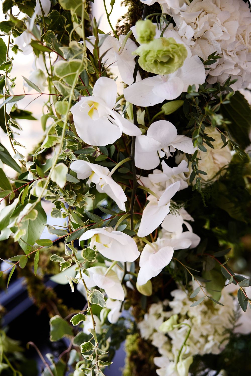 Elegant white orchids and green foliage arrangement with hydrangeas creating a lush floral display.
