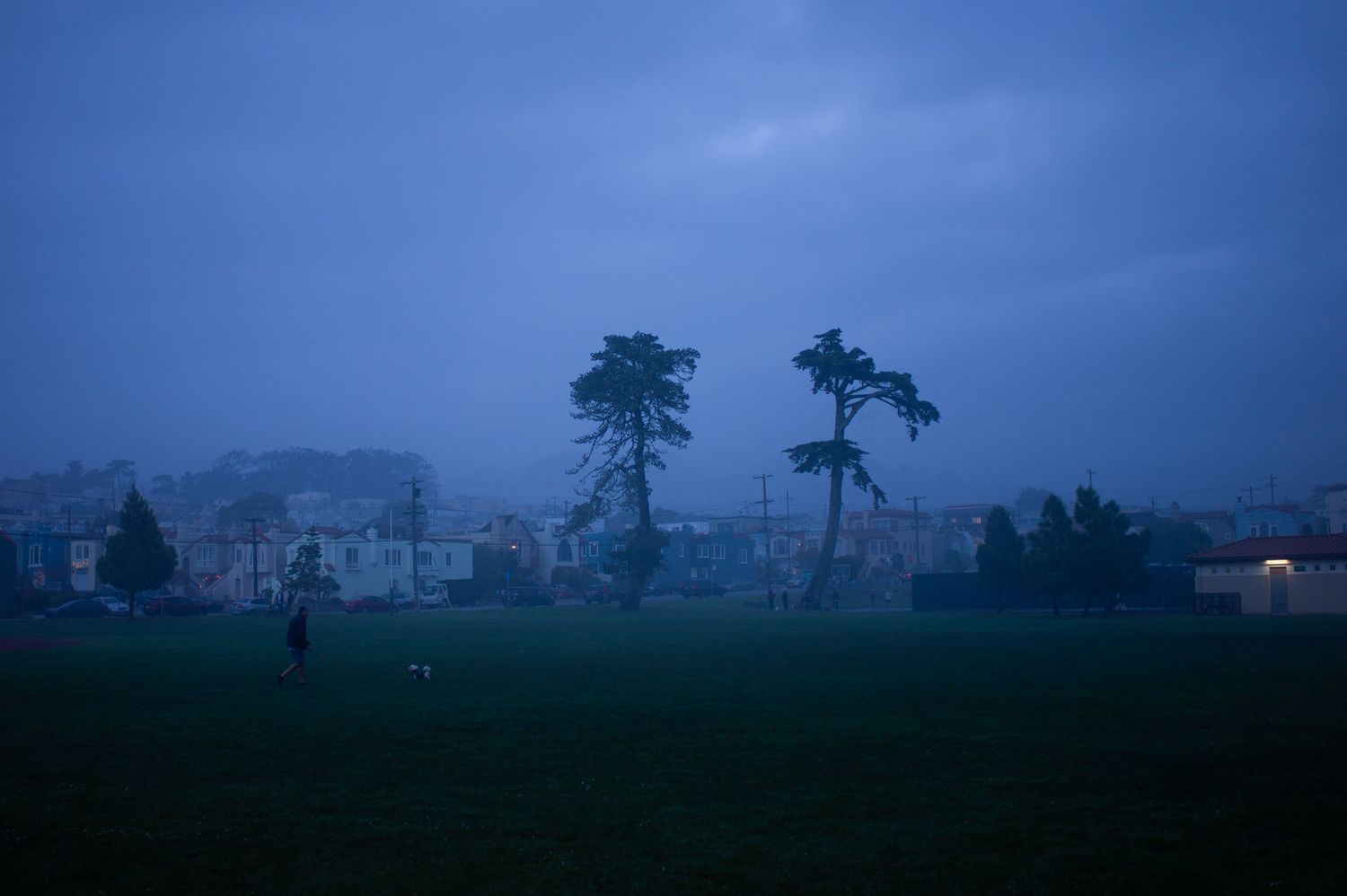 Misty San Francisco park at dusk with tall trees, green lawn, and residential buildings under overcast skies.