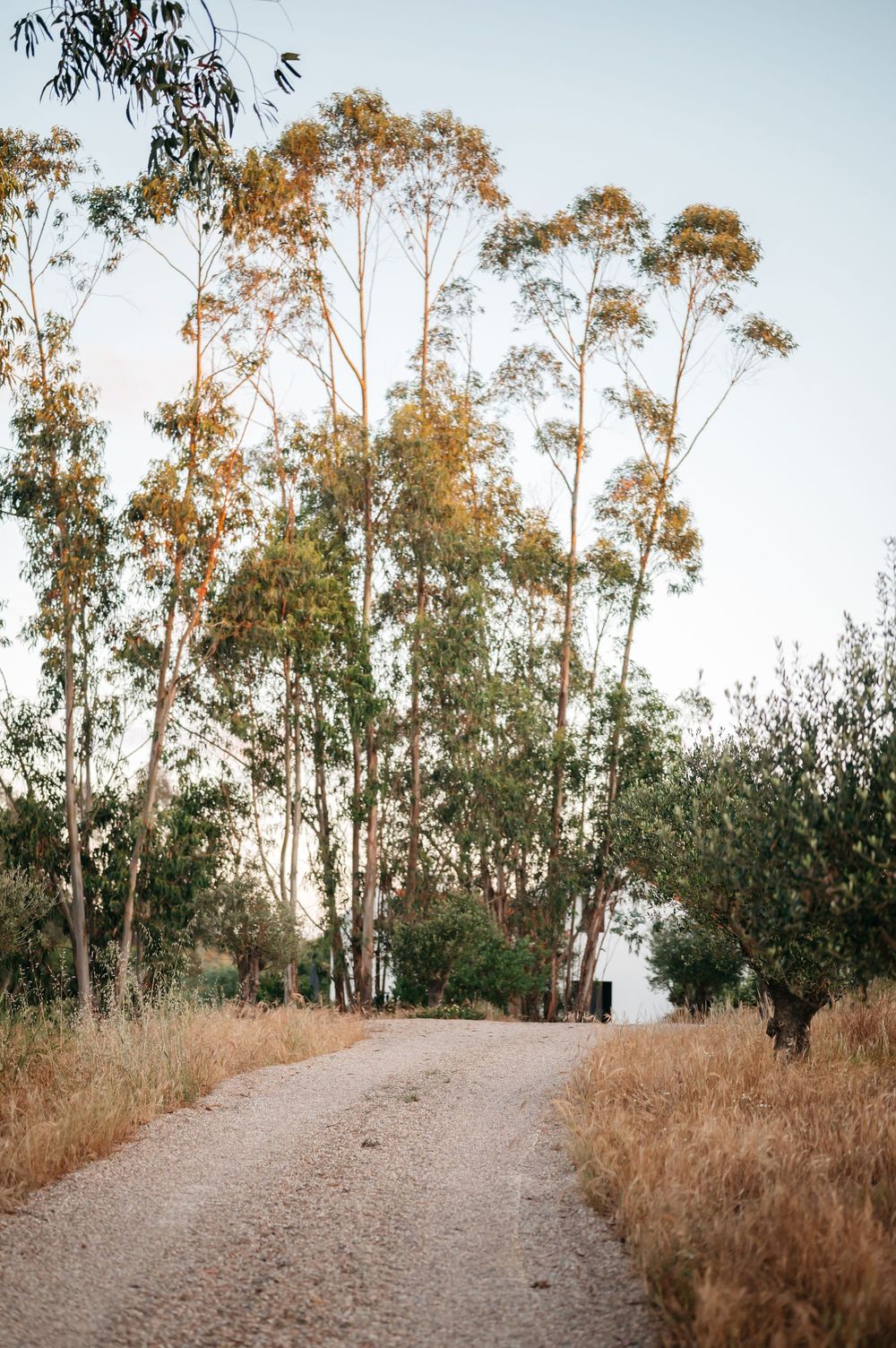 female yoga retreat in portugal