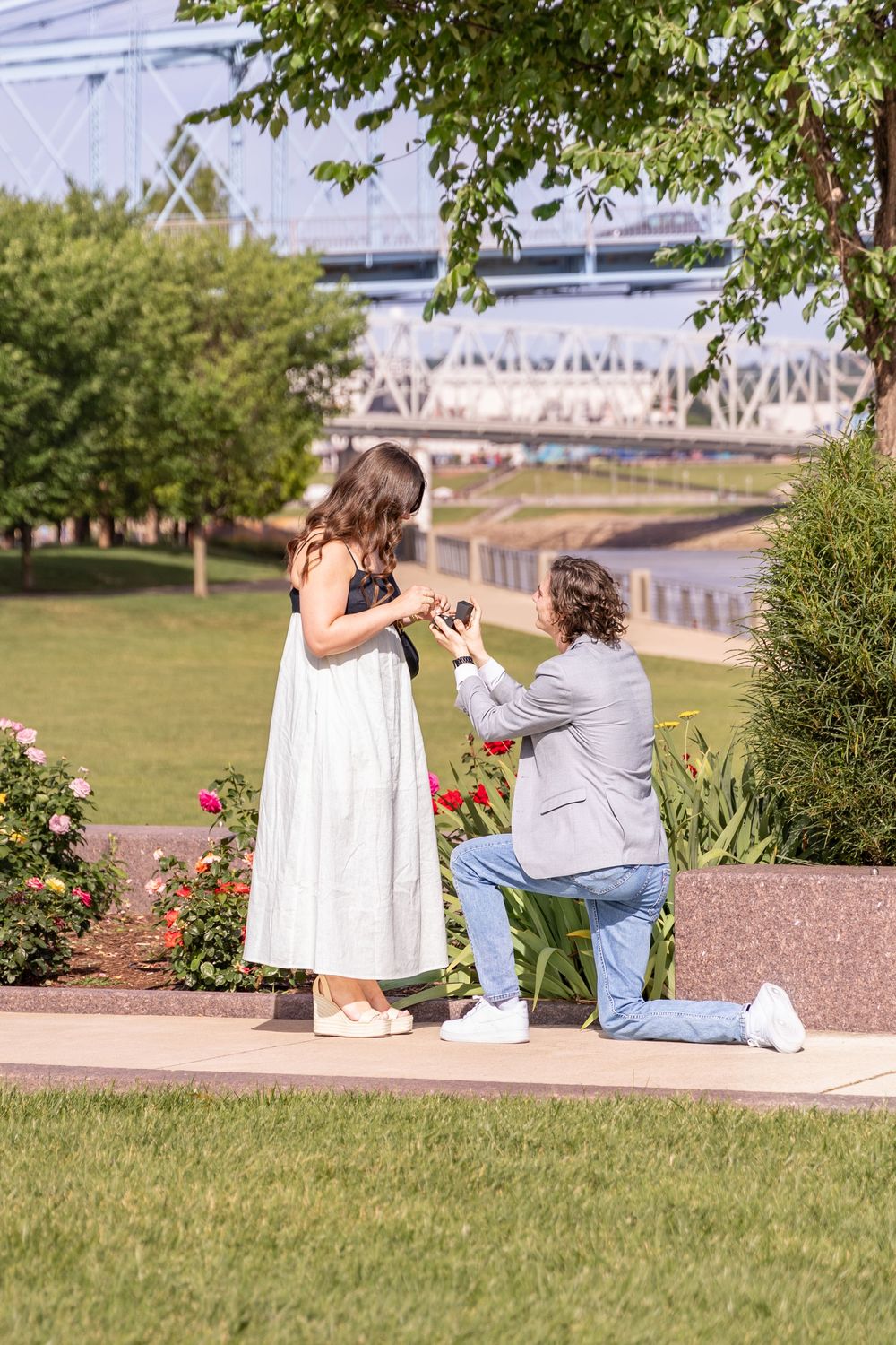 Man proposing on one knee to woman in white dress near garden with bridge backdrop. Rose Garden at Smale Park in Cincinnati Ohio