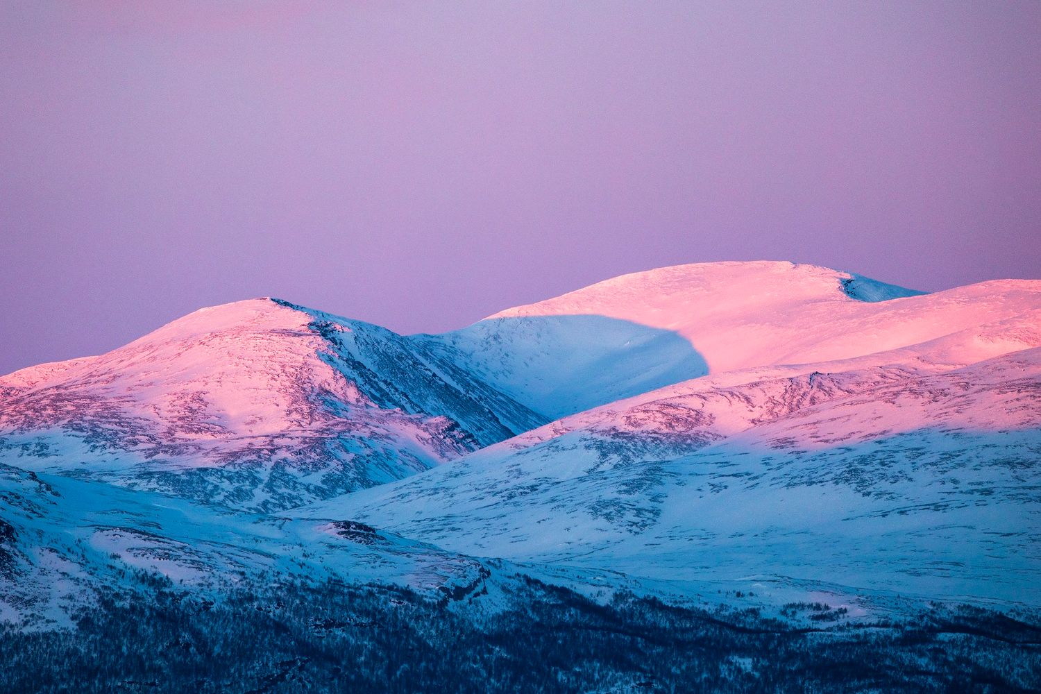 Snow-capped mountains glowing pink and purple at sunset in a stunning winter landscape.