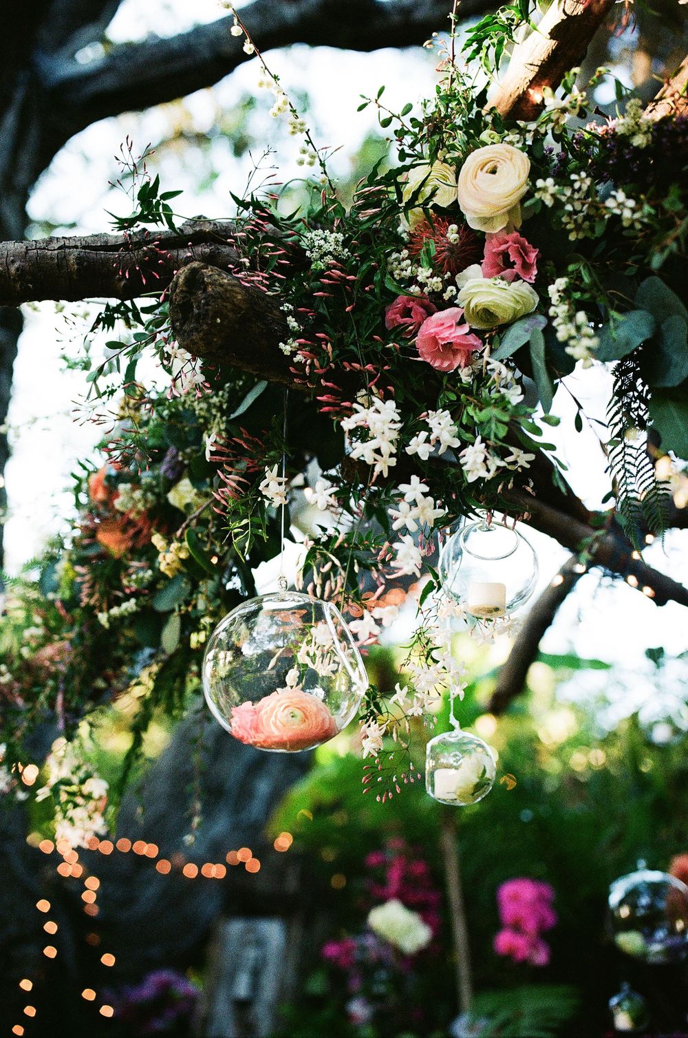Warm 35mm film wedding shots. The storybook light at The Holly Farm CA is a dream for NC mountain weddings.