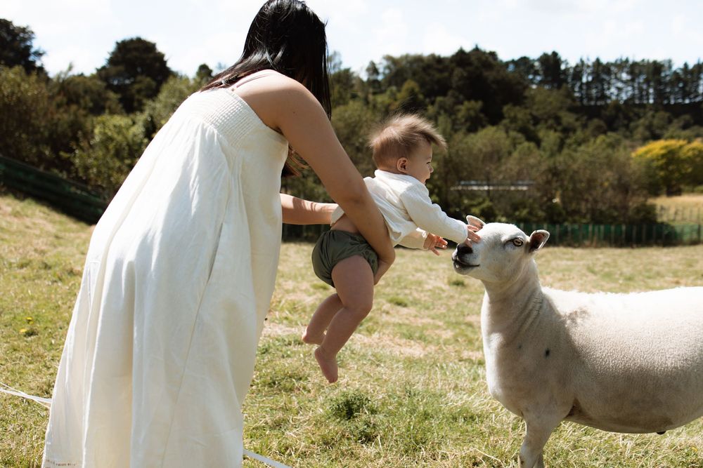 Family-photographer-Palmerston-North