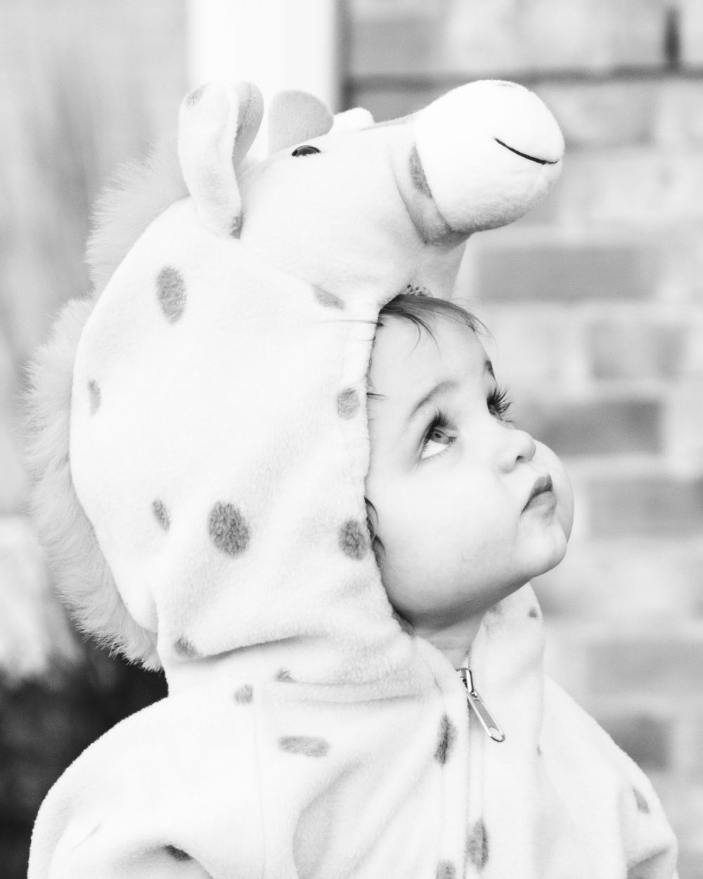Children Halloween Photography in Oswego, IL.