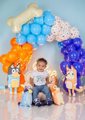 Smiling baby sits before a Bluey themed balloon arch with orange, blue balloons and large bone topper, with character plush toys.