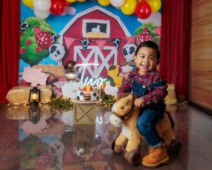 Toddler smiles on rocking horse at farm-themed second birthday party with balloon arch.