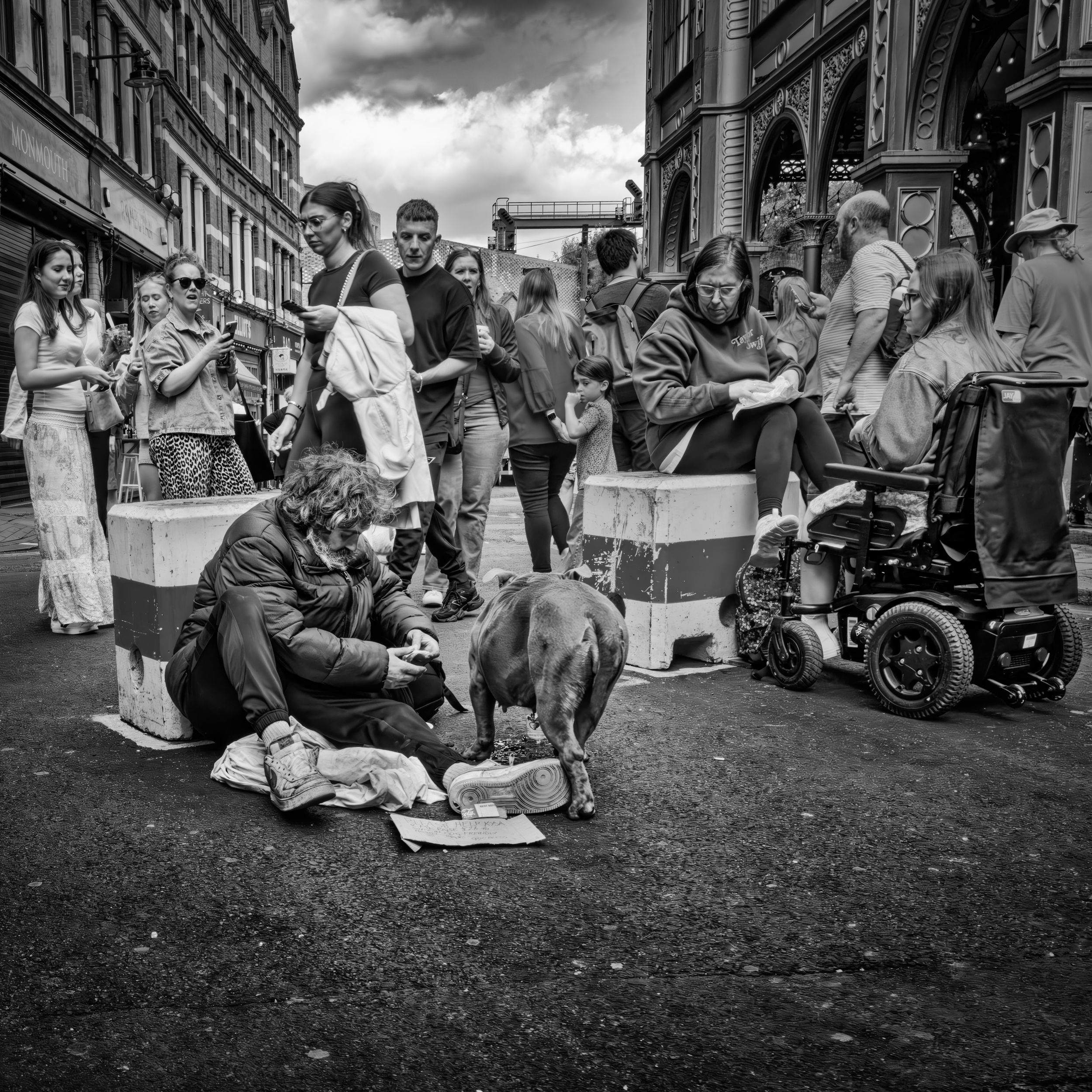 Black and white street photography of a crowd gathered around a person sitting on the ground with a dog