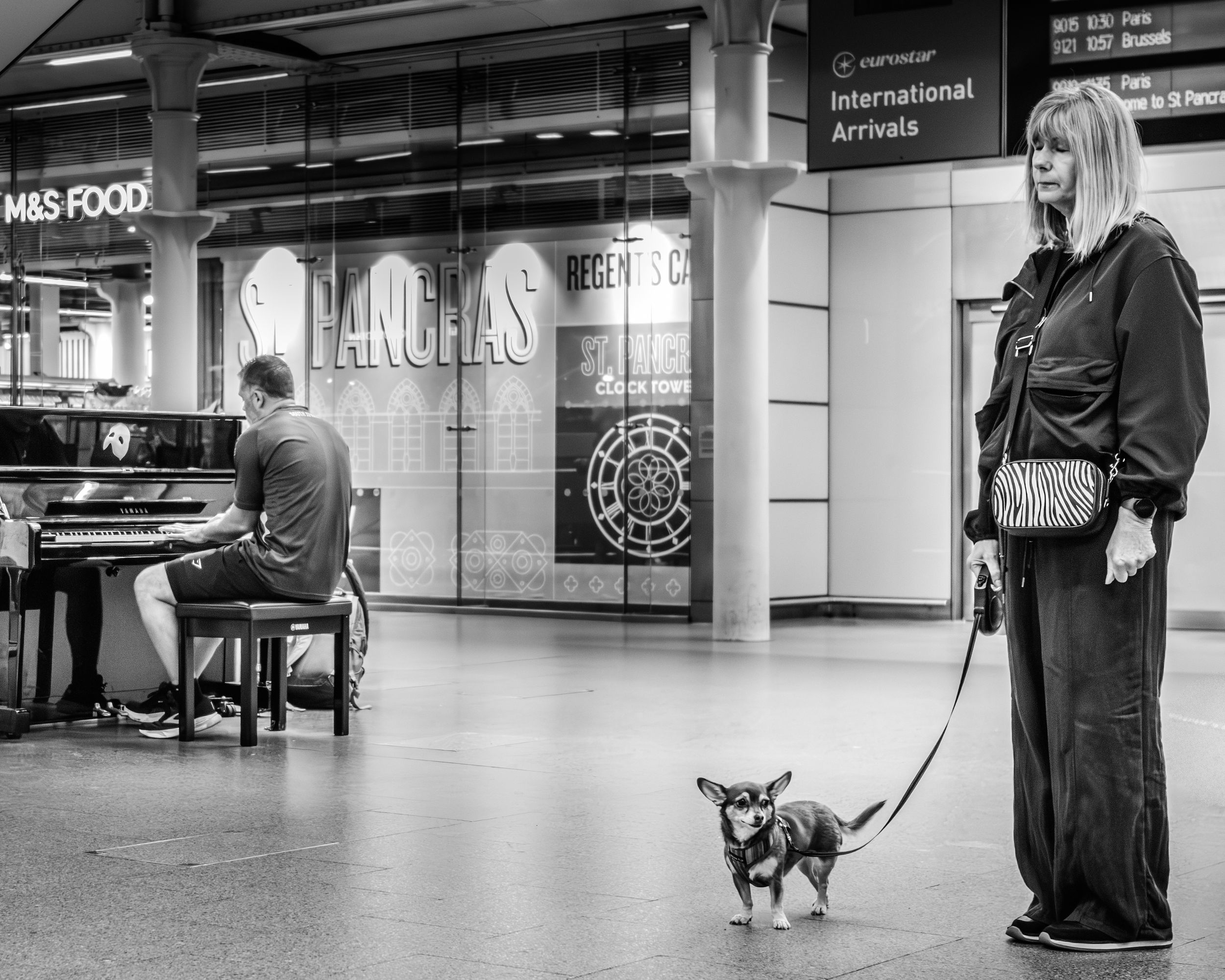 Black and white photo of a woman walking a small dog through a station with a pianist in the background